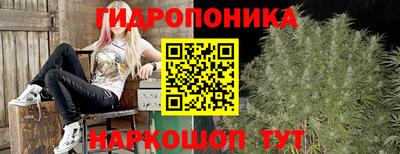 МДПВ Тара